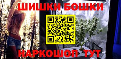 стаф Ставрополь
